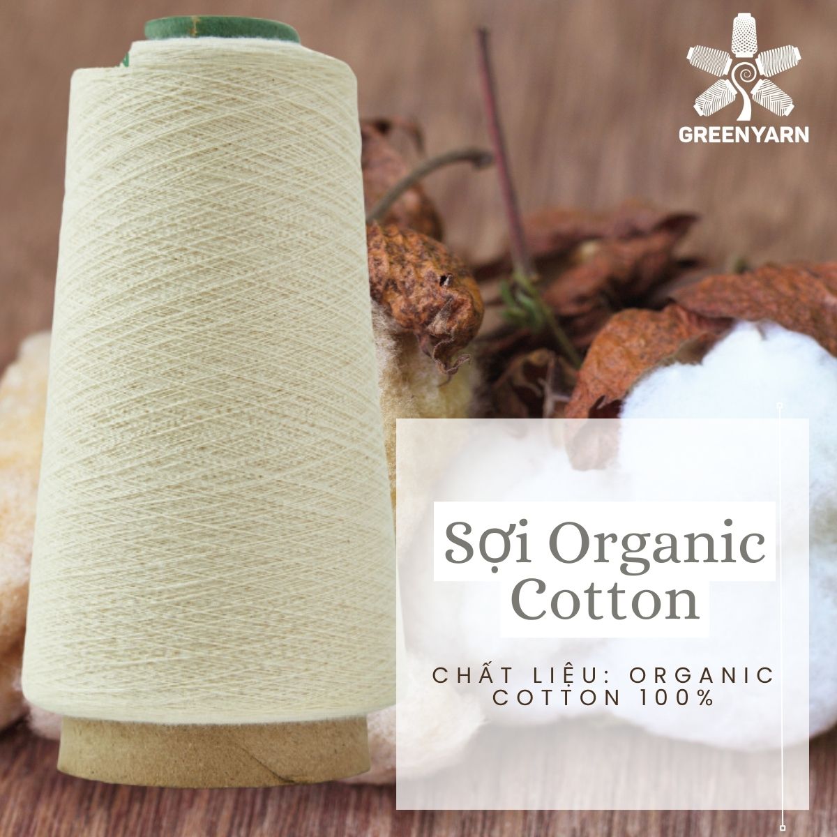Sợi Organic Cotton